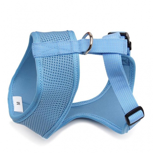 arnes-f-azul-truelove-03