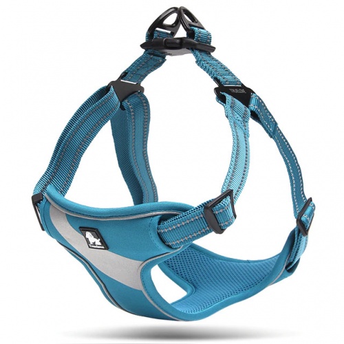 arnes-pechera-azul-truelove-04